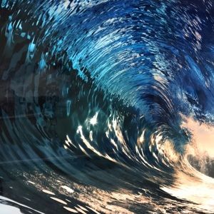 Meet your Posher, Natasha